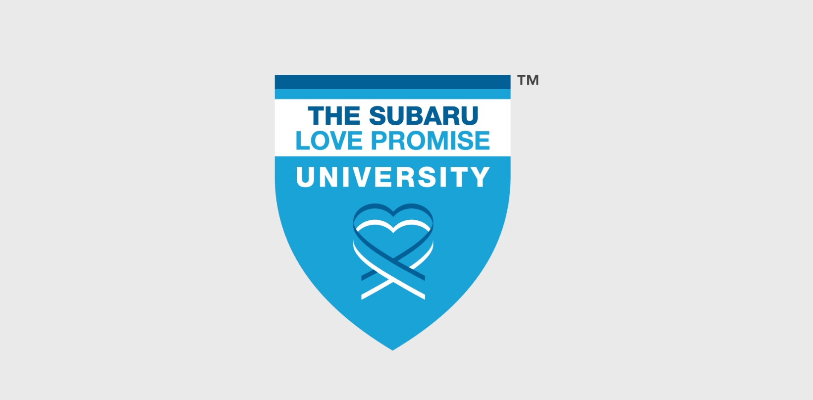 Love Promise University